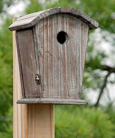 Clipper Nest Box Round Roof for Wild Birds
