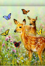 Fawn and Butterflies House Flag, #0563FL