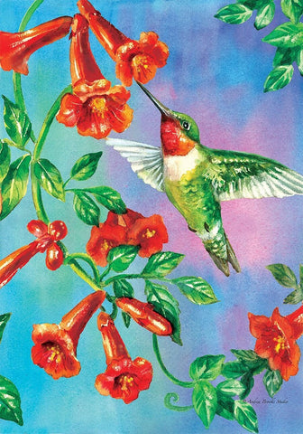 Hummingbird Dance House Flag, #H00352