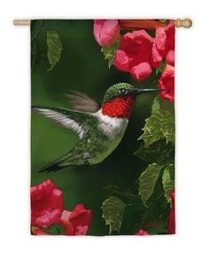 Hummingbird Closeup Garden Flag,  #zthd141634