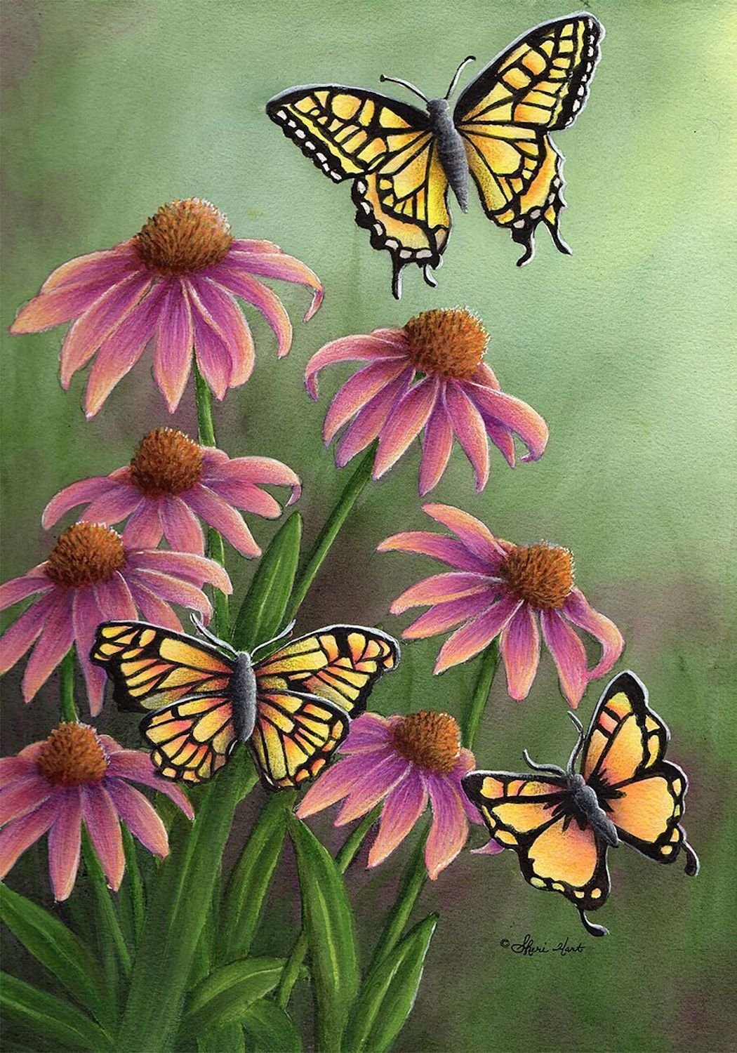 Echinacea Butterfly Garden Flag,  #G00367