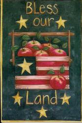 Bless Our Land Garden Flag,  #FS70