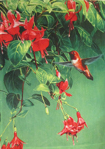 Hummingbird Delight Garden Flag, FS288
