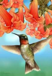 Hummingbird in Flight Garden Flag,  #0020fm