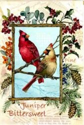 Juniper Cardinals Garden Flag,  #141390